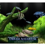 Dream Aquarium Screensaver 1.27 اسکرین سیور آکواریوم