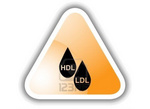 HDL Works HDL Design Entry EASE 8.0 R4 طراحی کدهای HDL